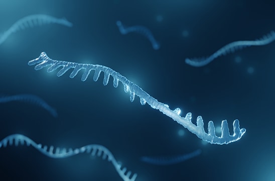 microRNA的插图